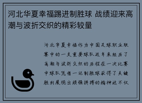河北华夏幸福踢进制胜球 战绩迎来高潮与波折交织的精彩较量
