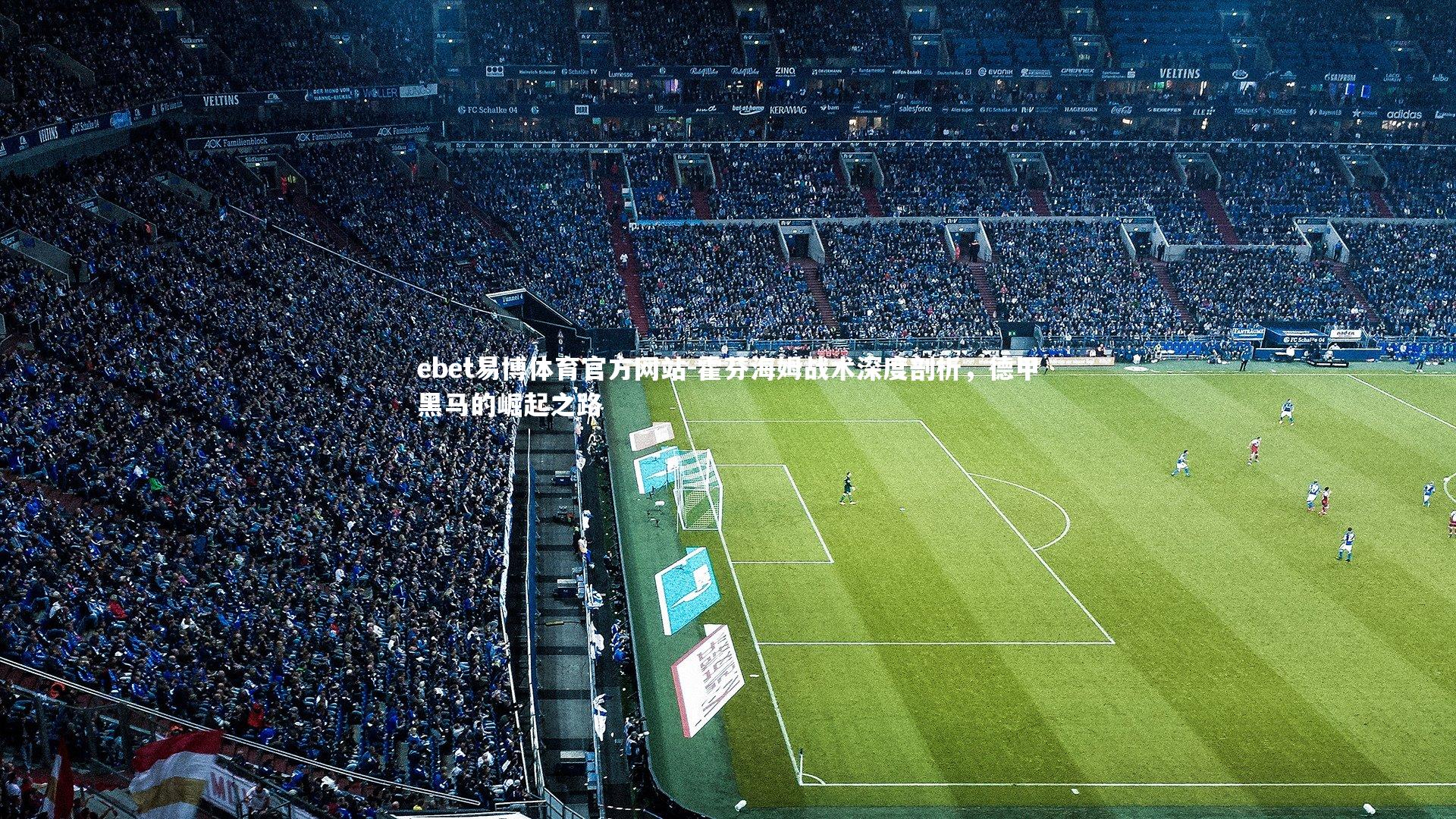 ebet易博体育官方网站-霍芬海姆战术深度剖析，德甲黑马的崛起之路-第1张图片-ebet易博体育官方网站